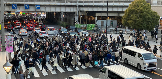 Kappabashi. Ueno.