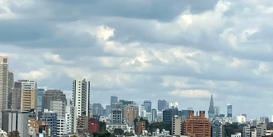 Tokyo. Gotanda. Shinagawa.